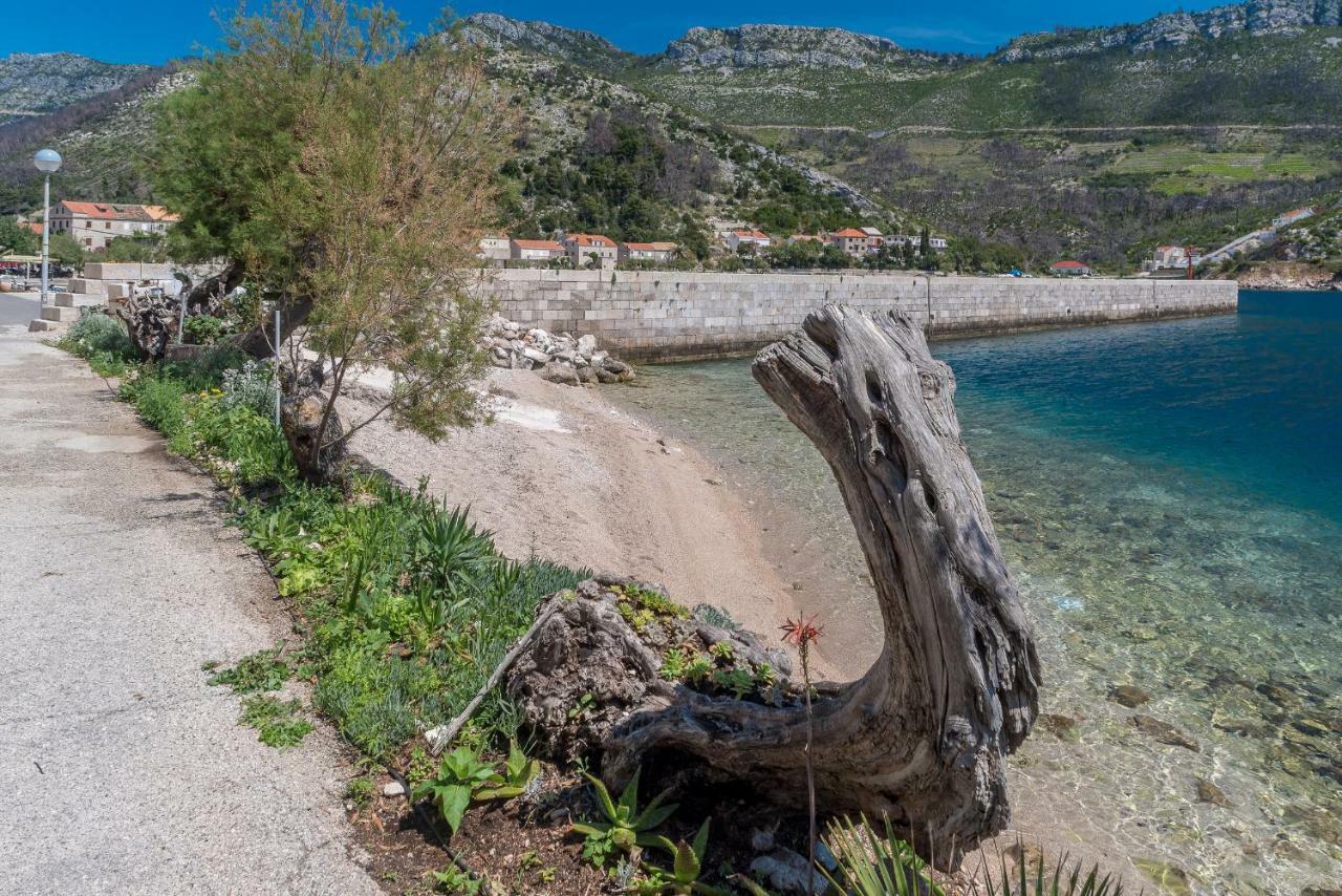 Apartment Matijas Trstenik  Eksteriør billede